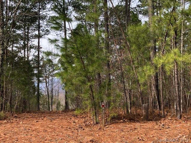 Property image 4 at 21 Loblolly Lane, Mill Spring, NC 28756