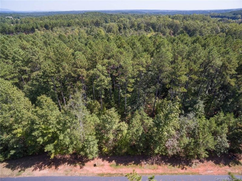 Property image 5 at 21 Loblolly Lane, Mill Spring, NC 28756