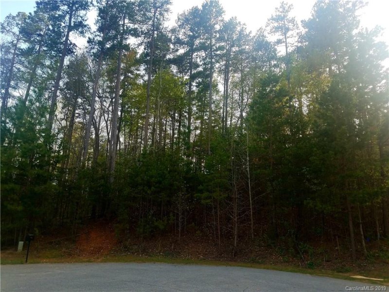 Property image 2 at 162 Rushing Water Lane, Troutman, NC 28166