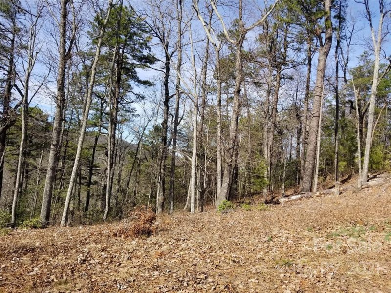 Property image 2 at 5293 Pine Ridge Drive, Connelly Springs, NC 28612