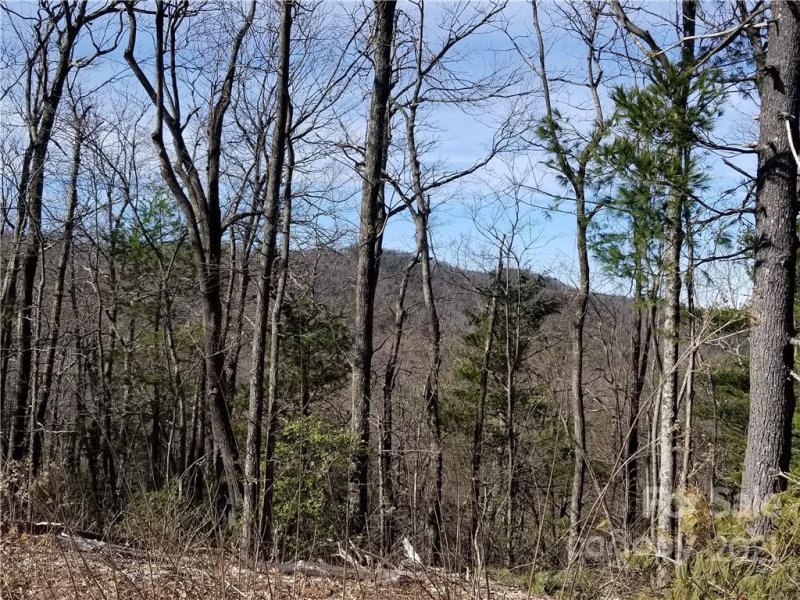 Property image 4 at 5293 Pine Ridge Drive, Connelly Springs, NC 28612