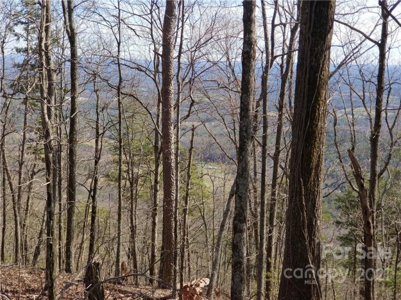 Property image 5 at 5293 Pine Ridge Drive, Connelly Springs, NC 28612