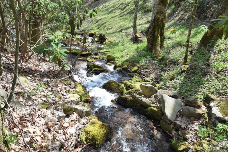 Property image 5 at 40 Candlemaker Trail, Maggie Valley, NC 28751