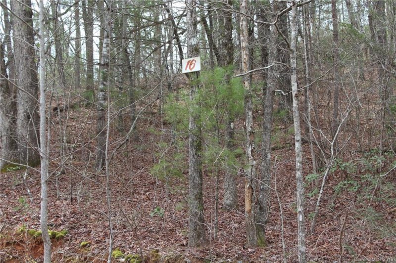 Property image 2 at Lot 16 Justice Drive, Lake Lure, NC 28746