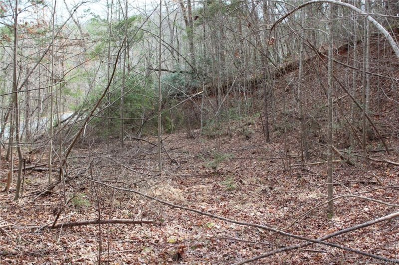 Property image 4 at Lot 16 Justice Drive, Lake Lure, NC 28746