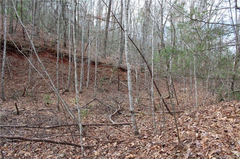 Property image 5 at Lot 16 Justice Drive, Lake Lure, NC 28746