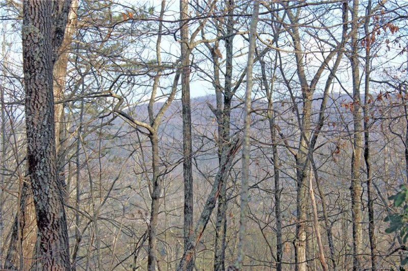 Property image 2 at 77 Oak Laurel Road, Brevard, NC 28712