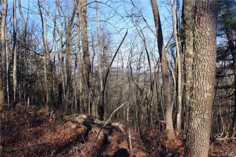 Property image 3 at 77 Oak Laurel Road, Brevard, NC 28712