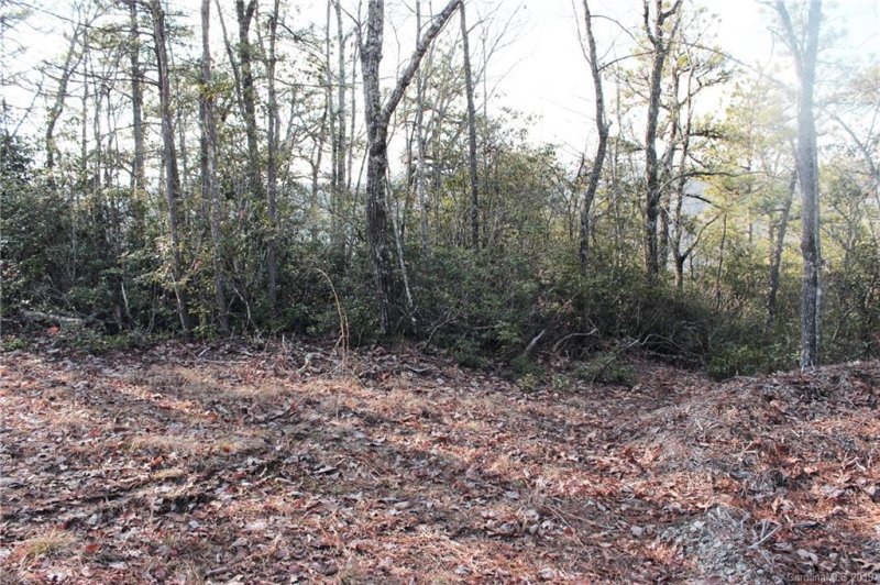 Property image 4 at 77 Oak Laurel Road, Brevard, NC 28712