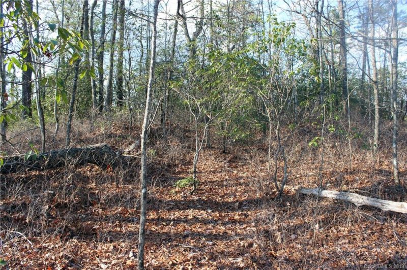 Property image 5 at 77 Oak Laurel Road, Brevard, NC 28712