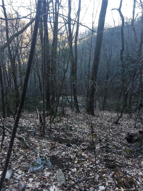 Property image 4 at 21 Reillys Bluff Road, Barnardsville, NC 28709