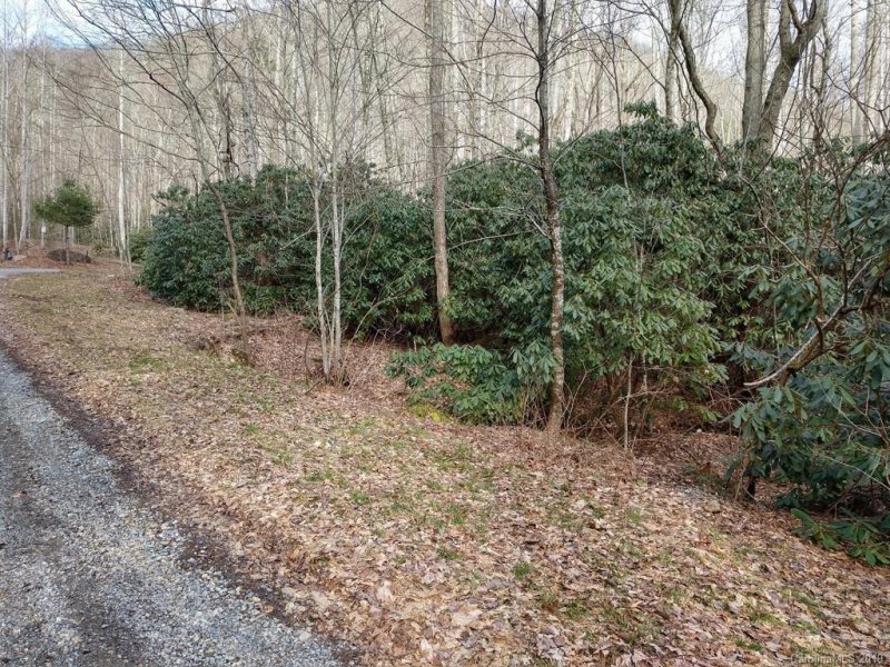 Property image 2 at Lot 19 Quail Cove Road, Clyde, NC 28721