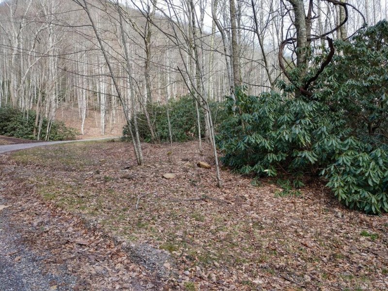 Property image 4 at Lot 19 Quail Cove Road, Clyde, NC 28721