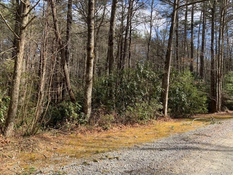 Property image 4 at Lot 9 Marshall Lake Road, Cedar Mountain, NC 28718