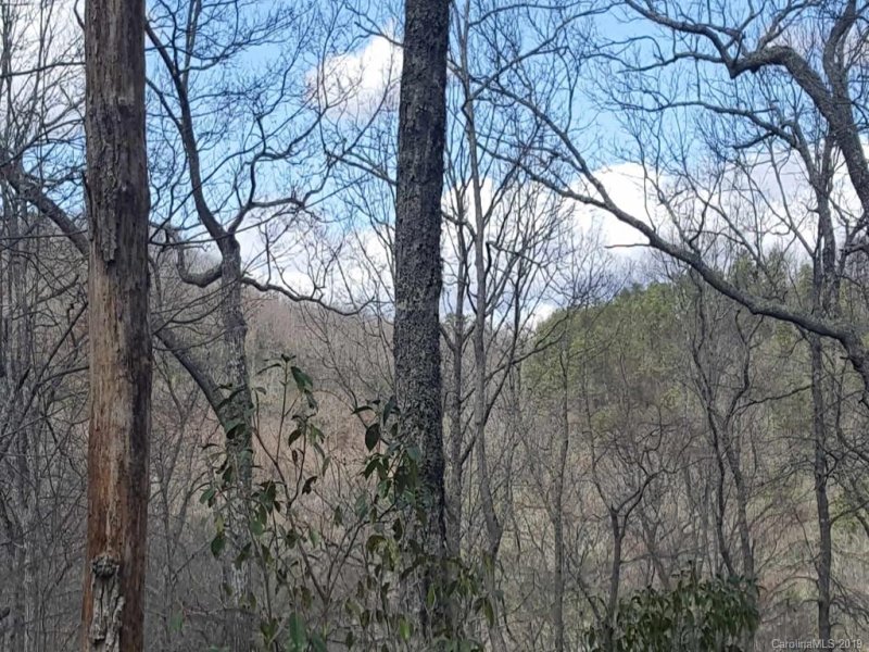 Property image 4 at Lot 9r Shining Rock Path, Mills River, NC 28759