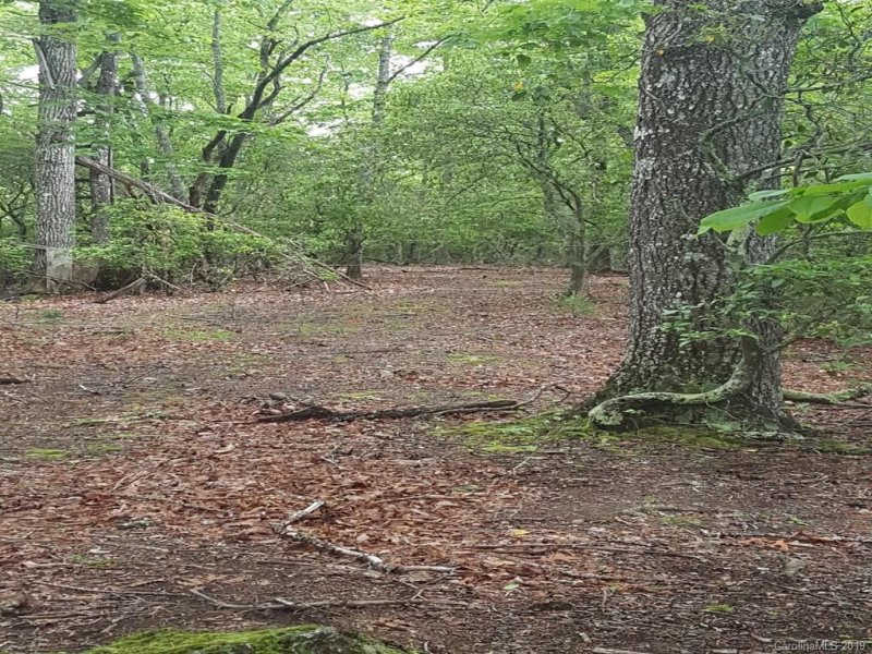 Property image 5 at Lot 9r Shining Rock Path, Mills River, NC 28759