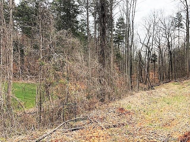 Property image 4 at Lot 25 Flowering Cherry Lane, Mooresville, NC 28117
