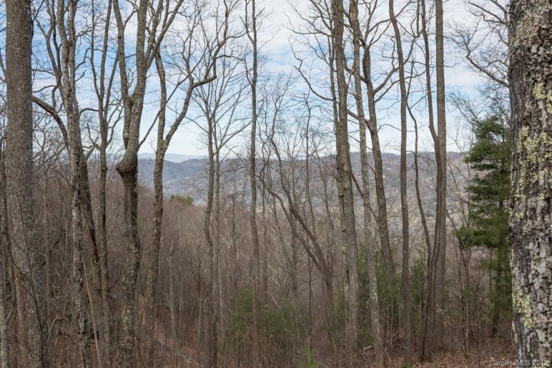 Property image 2 at 55 Mt Meadows Boulevard, Asheville, NC 28804