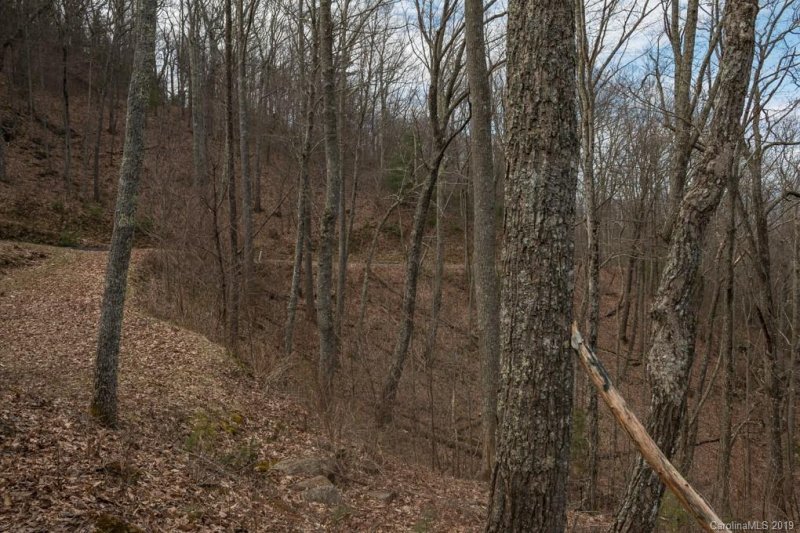 Property image 3 at 55 Mt Meadows Boulevard, Asheville, NC 28804