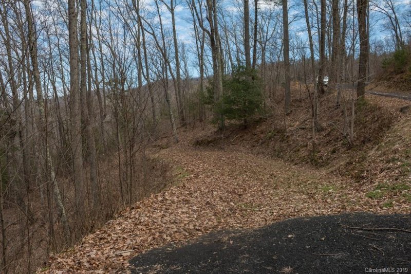 Property image 5 at 55 Mt Meadows Boulevard, Asheville, NC 28804