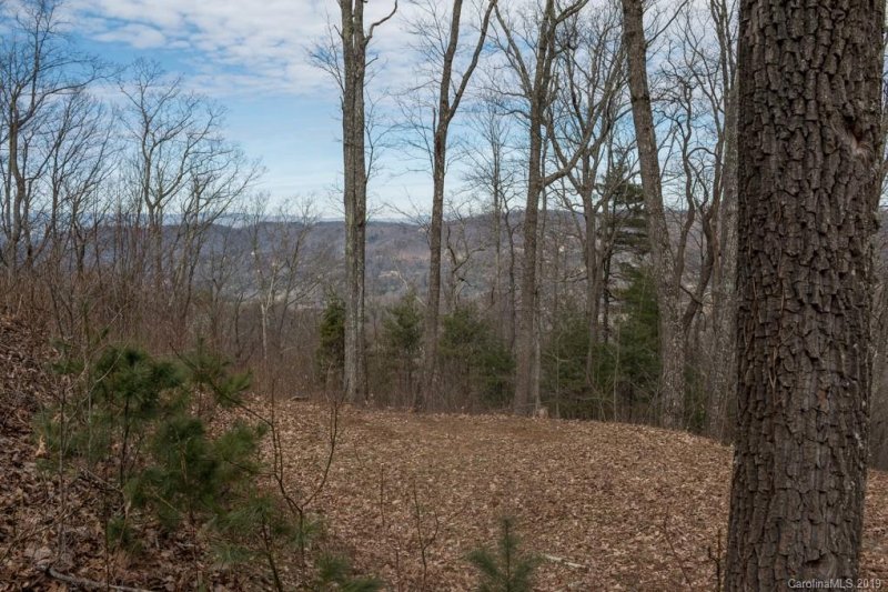 Property image 4 at 45 Mt Meadows Boulevard, Asheville, NC 28804