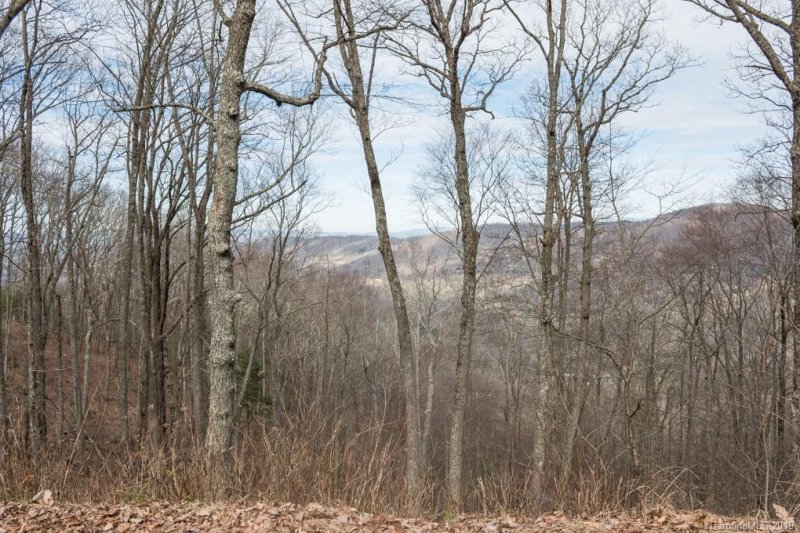 Property image 3 at 31 Mt Meadows Boulevard, Asheville, NC 28804