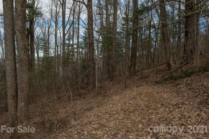 Property image 2 at 15 Mt Meadows Boulevard, Asheville, NC 28804