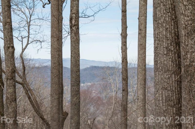 Property image 3 at 15 Mt Meadows Boulevard, Asheville, NC 28804