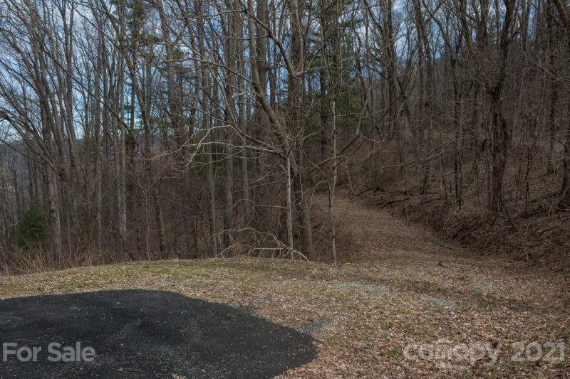 Property image 4 at 15 Mt Meadows Boulevard, Asheville, NC 28804