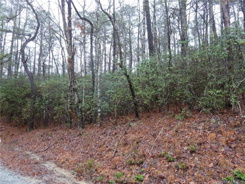 Property image 2 at 84 Oak Laurel Road, Brevard, NC 28712