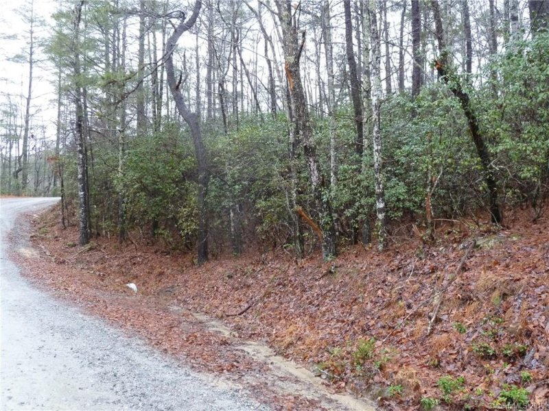 Property image 3 at 84 Oak Laurel Road, Brevard, NC 28712