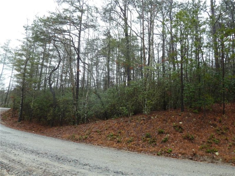 Property image 5 at 84 Oak Laurel Road, Brevard, NC 28712