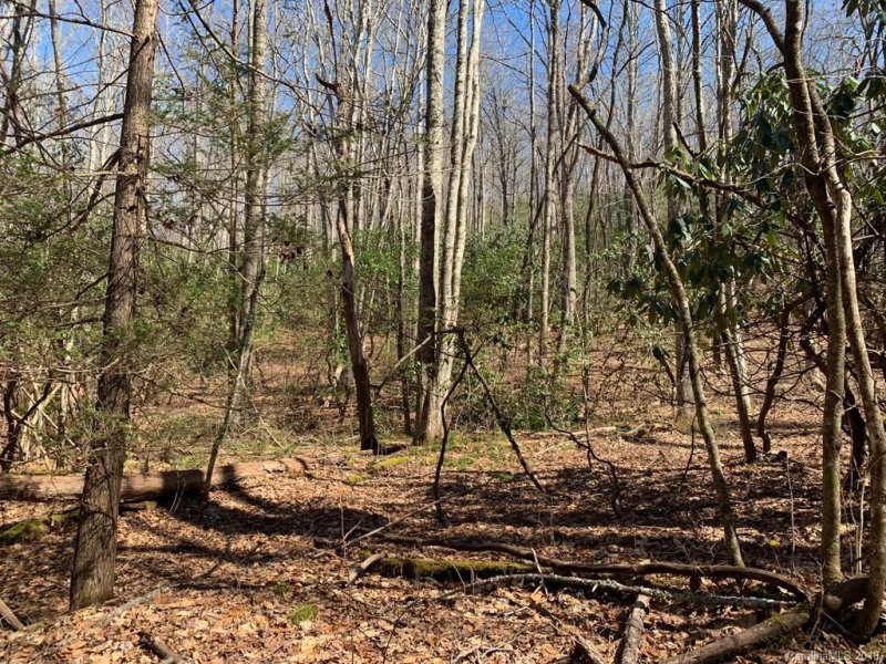 Property image 3 at 00 Steel Creek Road, Brevard, NC 28712