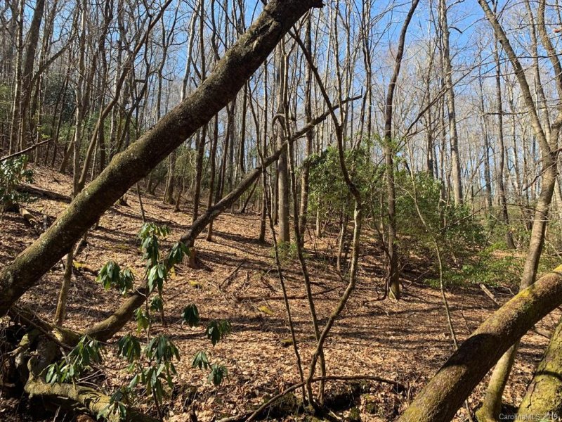 Property image 4 at 00 Steel Creek Road, Brevard, NC 28712