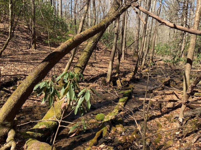 Property image 5 at 00 Steel Creek Road, Brevard, NC 28712