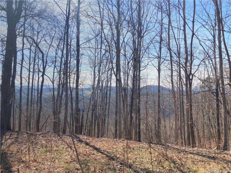 467 Overlook Park Drive