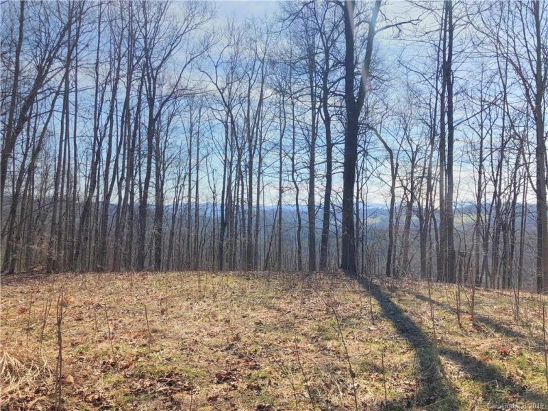 Property image 2 at 467 Overlook Park Drive, Hendersonville, NC 28792