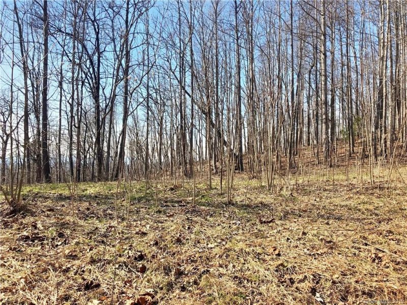 Property image 3 at 467 Overlook Park Drive, Hendersonville, NC 28792