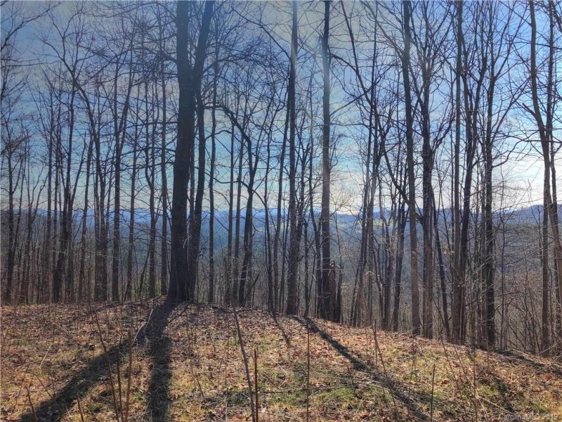 Property image 4 at 467 Overlook Park Drive, Hendersonville, NC 28792