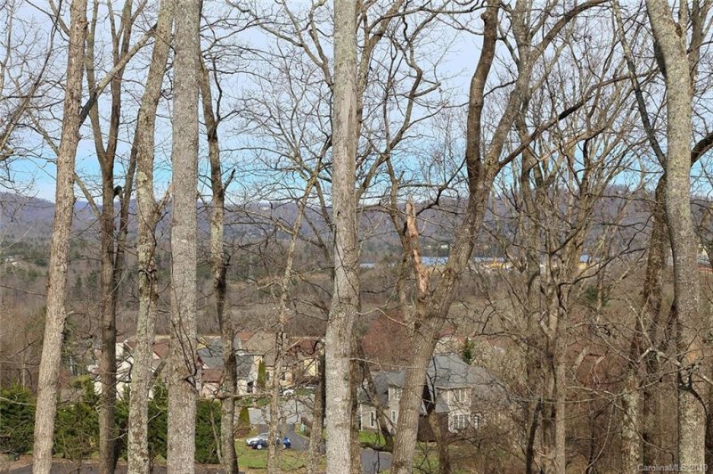 Property image 4 at 43 Springhead Court, Arden, NC 28704