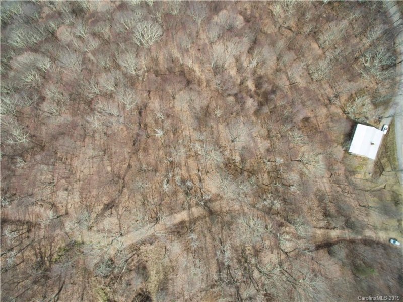 Property image 4 at Tbd Berry Patch Lane, Canton, NC 28716