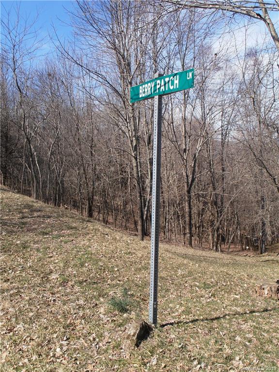 Property image 5 at Tbd Berry Patch Lane, Canton, NC 28716