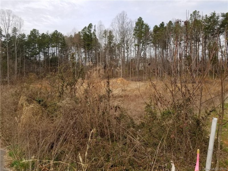 Property image 4 at 136 Early Frost Lane, Mooresville, NC 28115