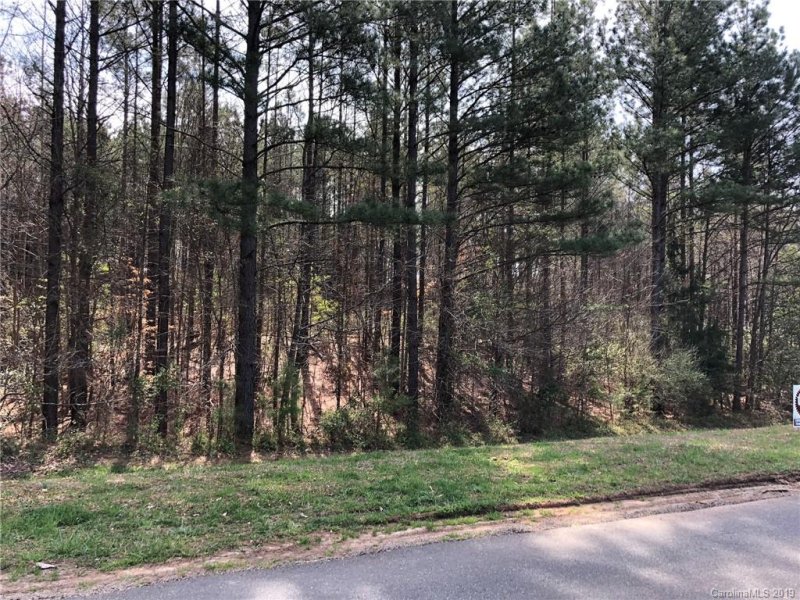 Property image 4 at 5040 Stockbridge Drive, Mount Holly, NC 28120