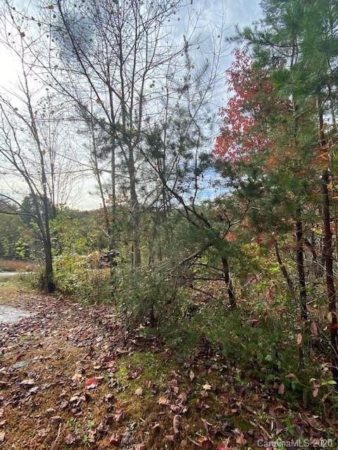 Property image 2 at Lot 49 Boulder Run, Lake Lure, NC 28746