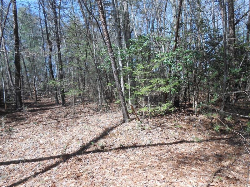 Property image 2 at V L James View Road, Marion, NC 28752