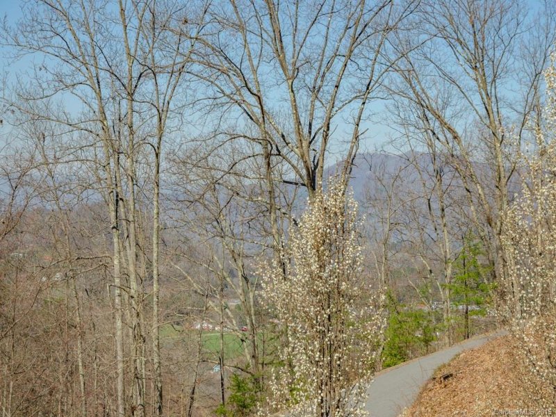 Property image 4 at 22 Blake Drive, Canton, NC 28716