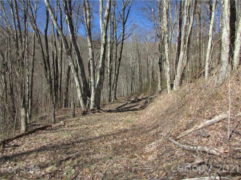 Property image 2 at 0 Running Bear Road, Hot Springs, NC 28743