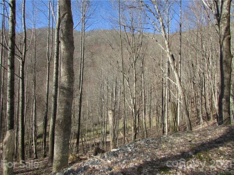 Property image 3 at 0 Running Bear Road, Hot Springs, NC 28743