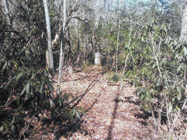 Property image 3 at 168 Bird Creek Estates Road, Black Mountain, NC 28711